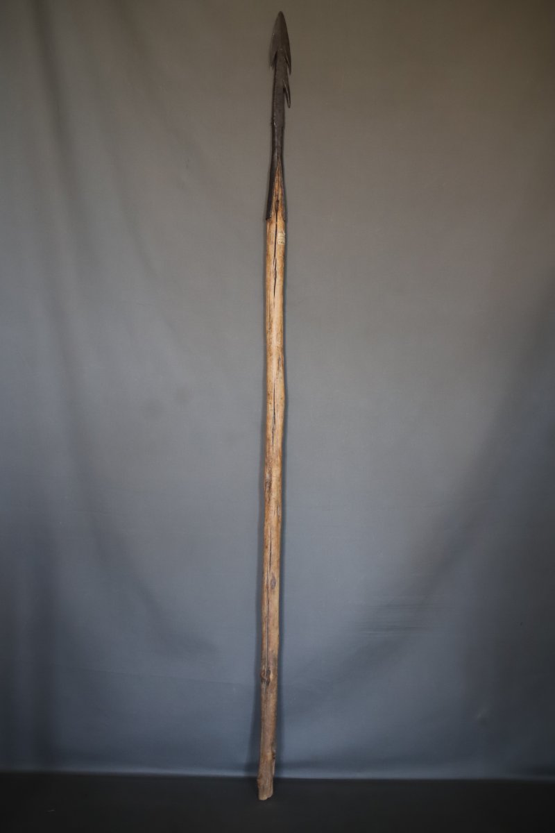 Harpun Used For Hunting Hippopotamuses – West Africa, Banks Of The Niger River, First Half Of The 20th Century -photo-4