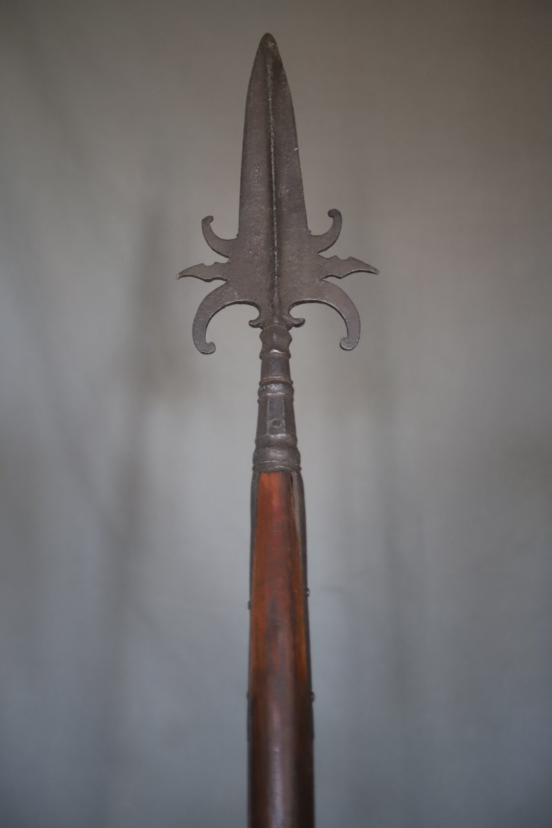 Polearm, French Halberd – France, 18th Century-photo-3