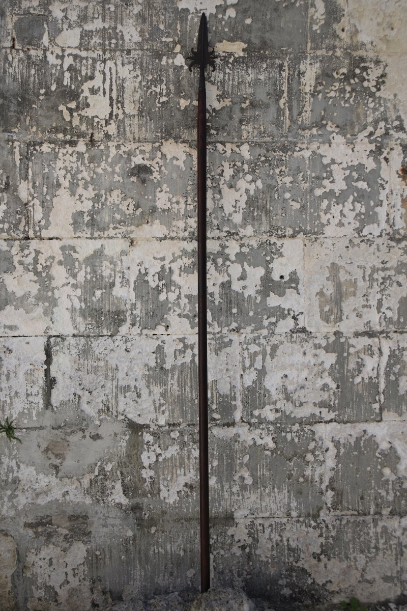Polearm, French Halberd – France, 18th Century-photo-4