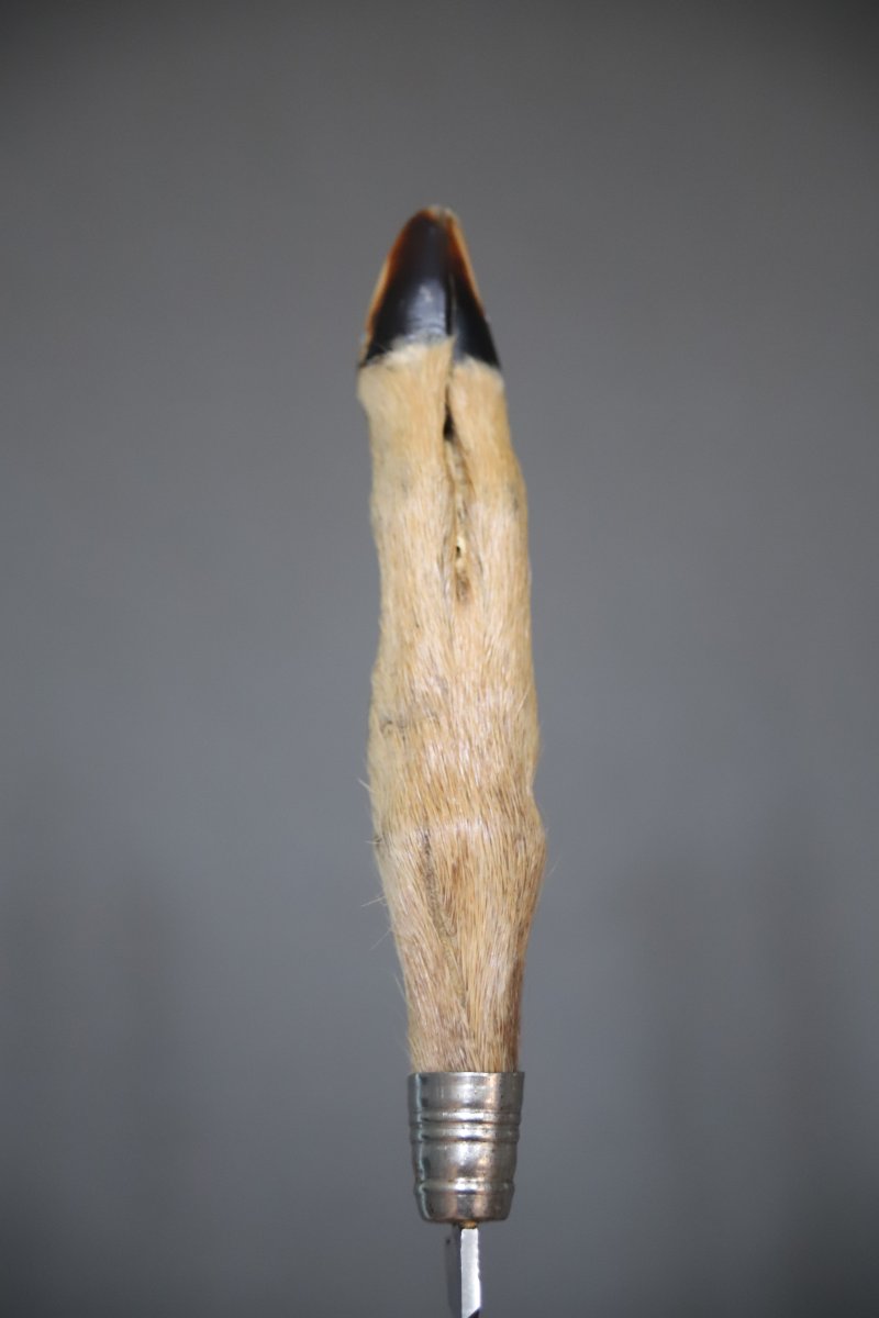Ancien petit couteau de Chasse Allemand dit Nicker-photo-5