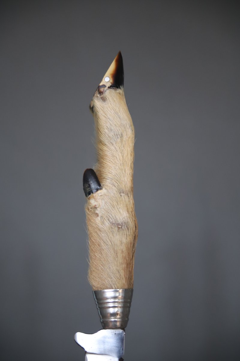 Ancien petit couteau de Chasse Allemand dit Nicker-photo-6