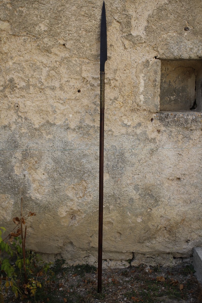Arme d'hast (lance) - Sud de la Chine ou Vietnam, 19ème siècle-photo-2