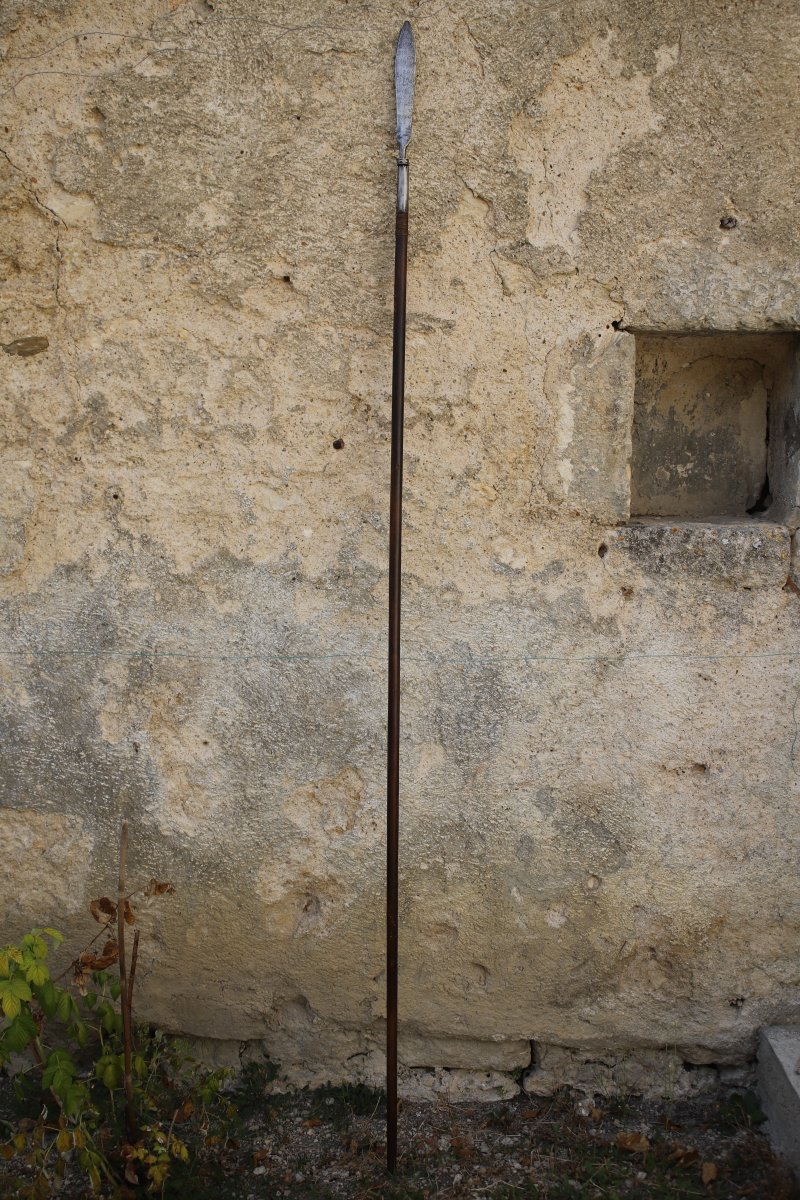 Vietnamese Polearm (spear) - Vietnam, 19th Century To Early 20th Century-photo-2