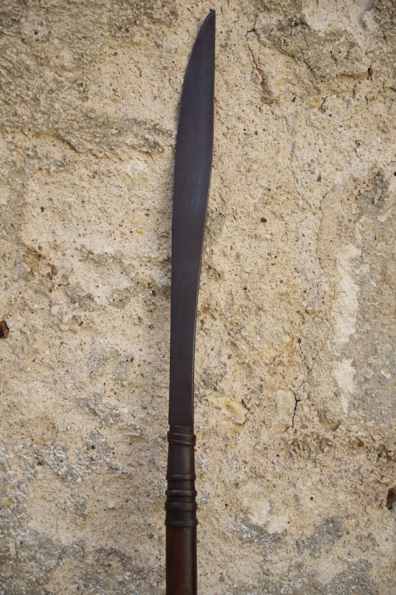 Arme d'hast (lance) - Sud de la Chine ou Vietnam, 19ème siècle-photo-3