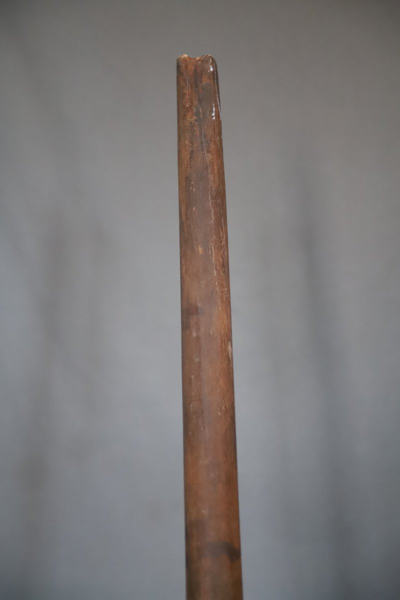 Arme d'hast (lance) - Sud de la Chine ou Vietnam, 19ème siècle-photo-3