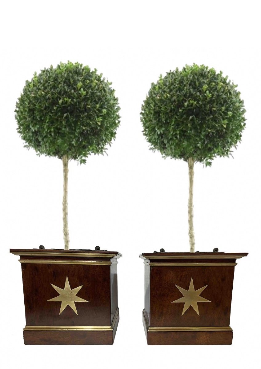 Paire De Petites Jardinières époque Premier Empire.