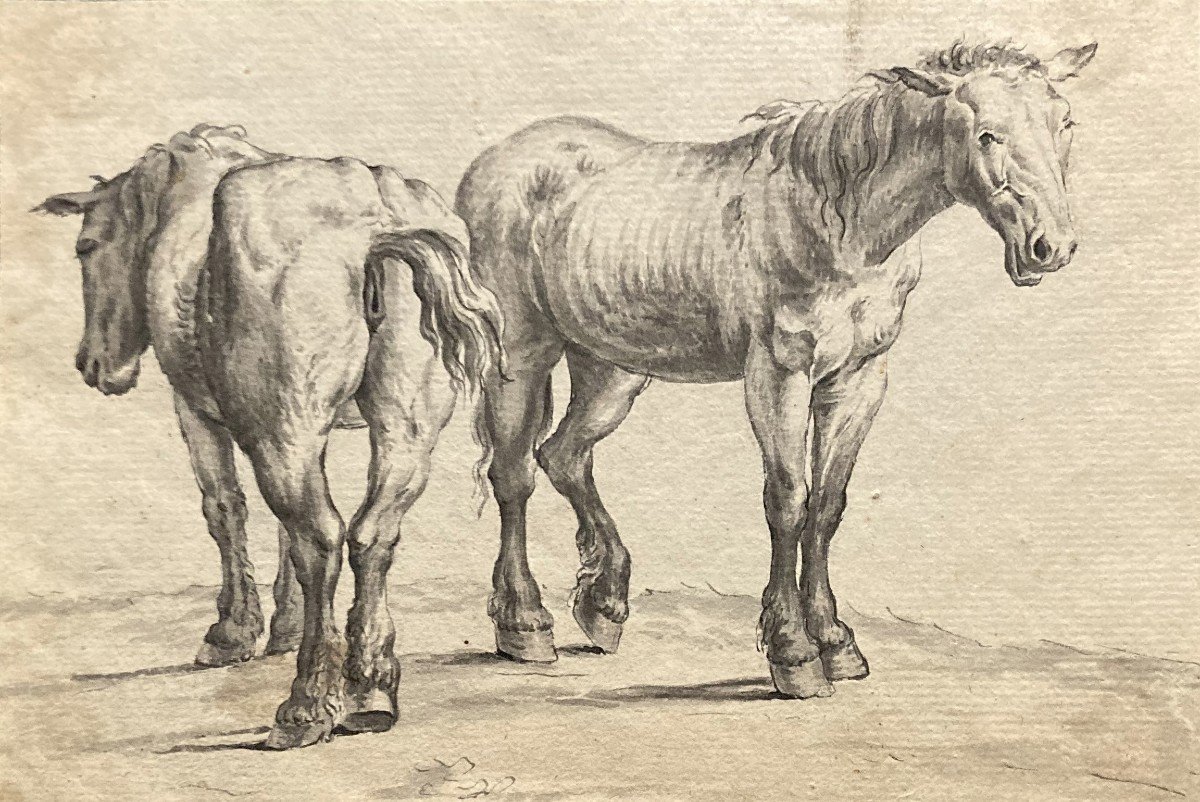 Flemish School 18th Century "two Horses" Pen Drawing And Gray Wash