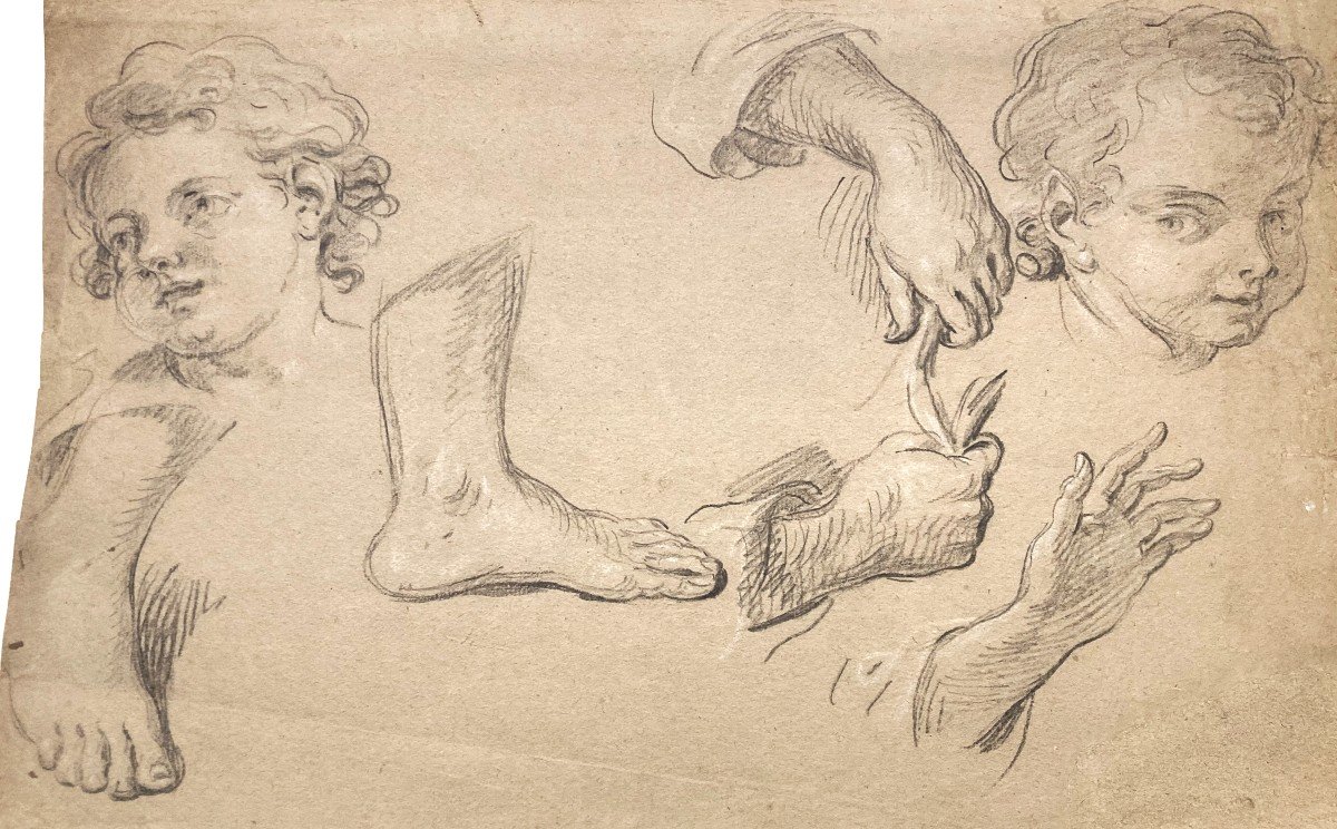 Parrocel Pierre (1670-1739) "study Of Feet, Hands And Faces" Black Chalk Drawing