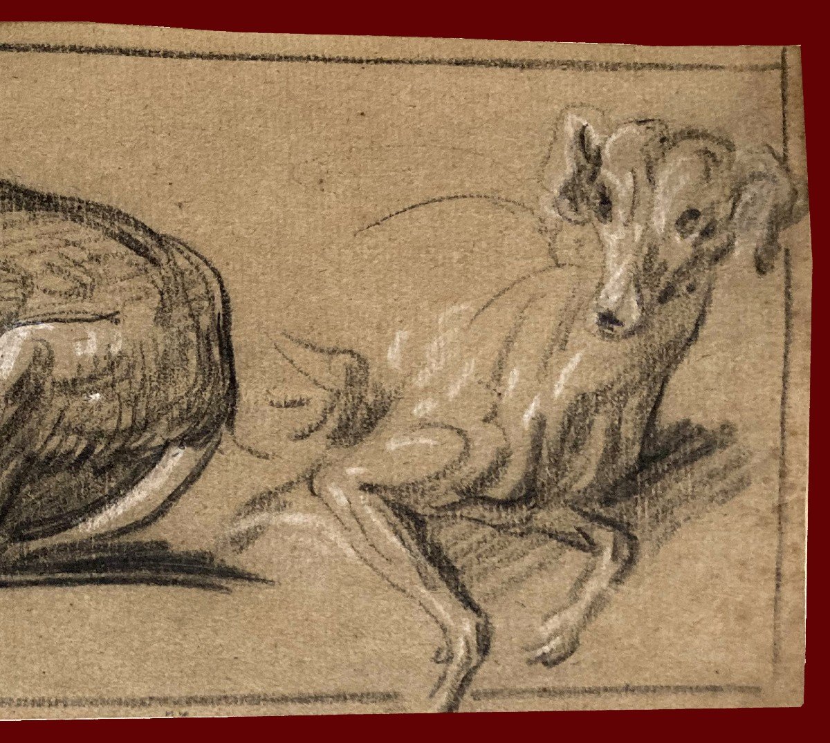 Flemish School 18th Century "study Of Dogs" Drawing/black Chalk, White Chalk, Provenance/stamp-photo-3