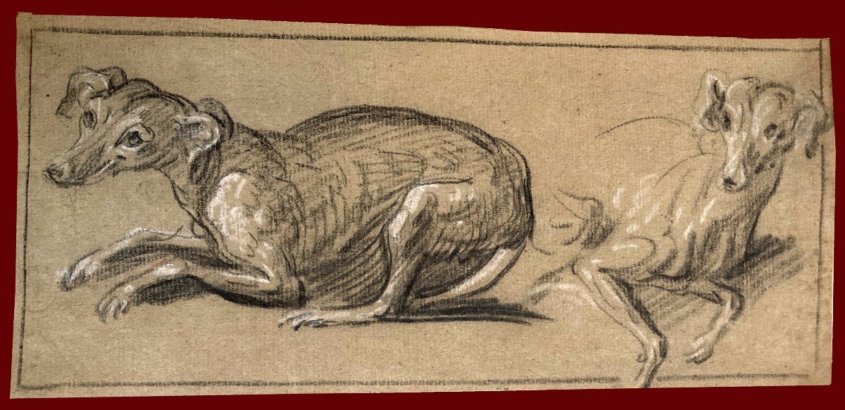 Flemish School 18th Century "study Of Dogs" Drawing/black Chalk, White Chalk, Provenance/stamp