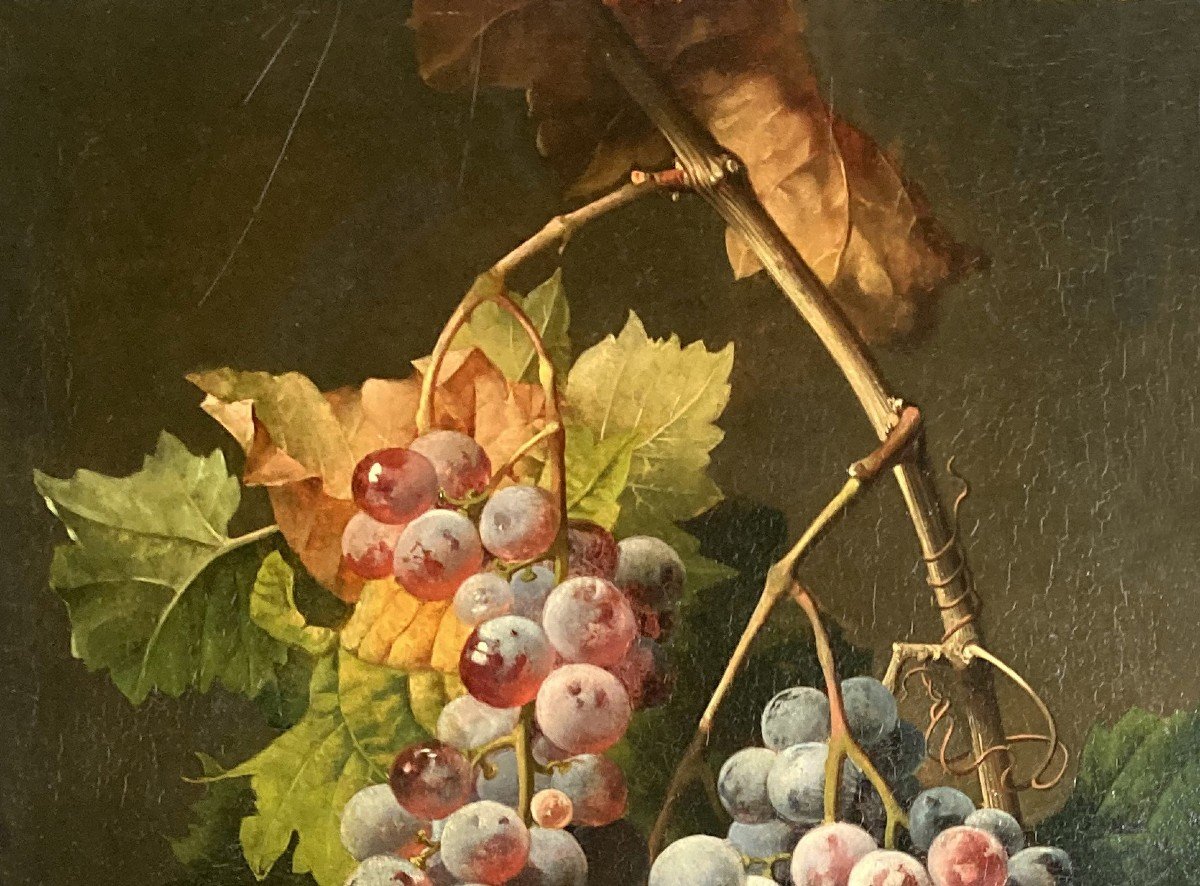 NODE Charles (1811-1886) "Nature morte aux raisins" Huile sur panneau, signé, Cadre 19e-photo-2