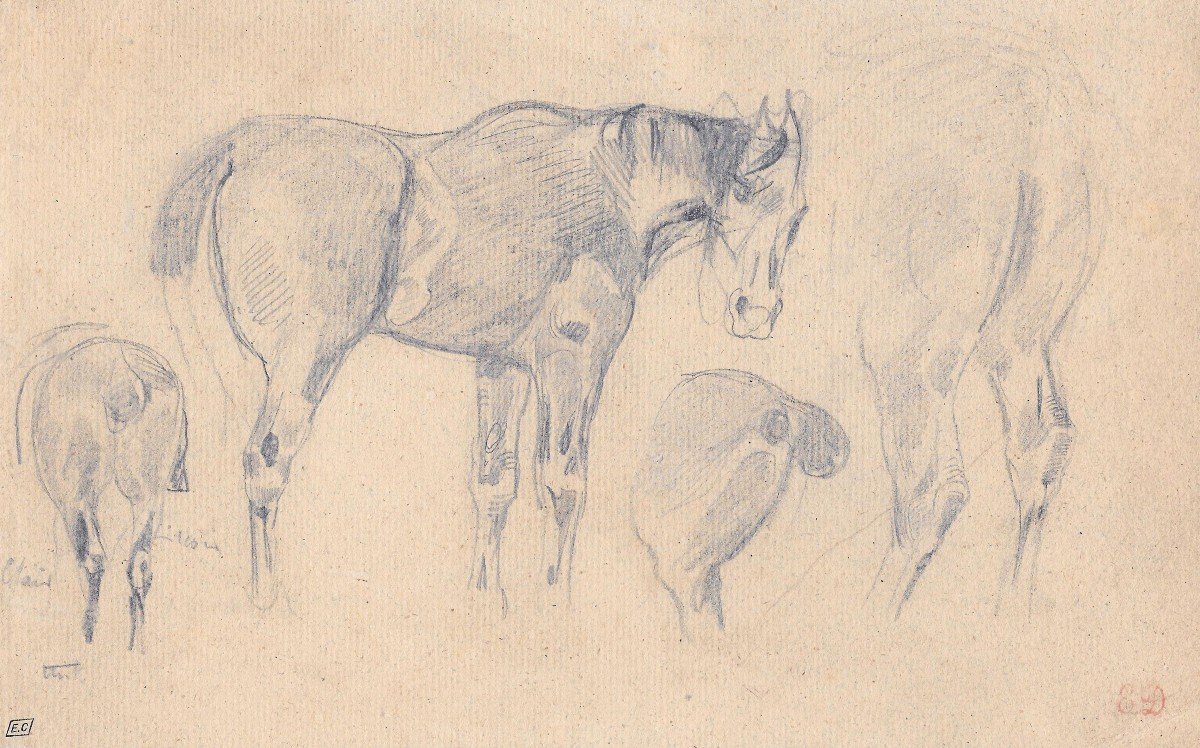 DELACROIX Eugène (1798-1863)"Etude de chevaux" Dessin/Crayon noir, Cachet, Collection E.Calando-photo-2