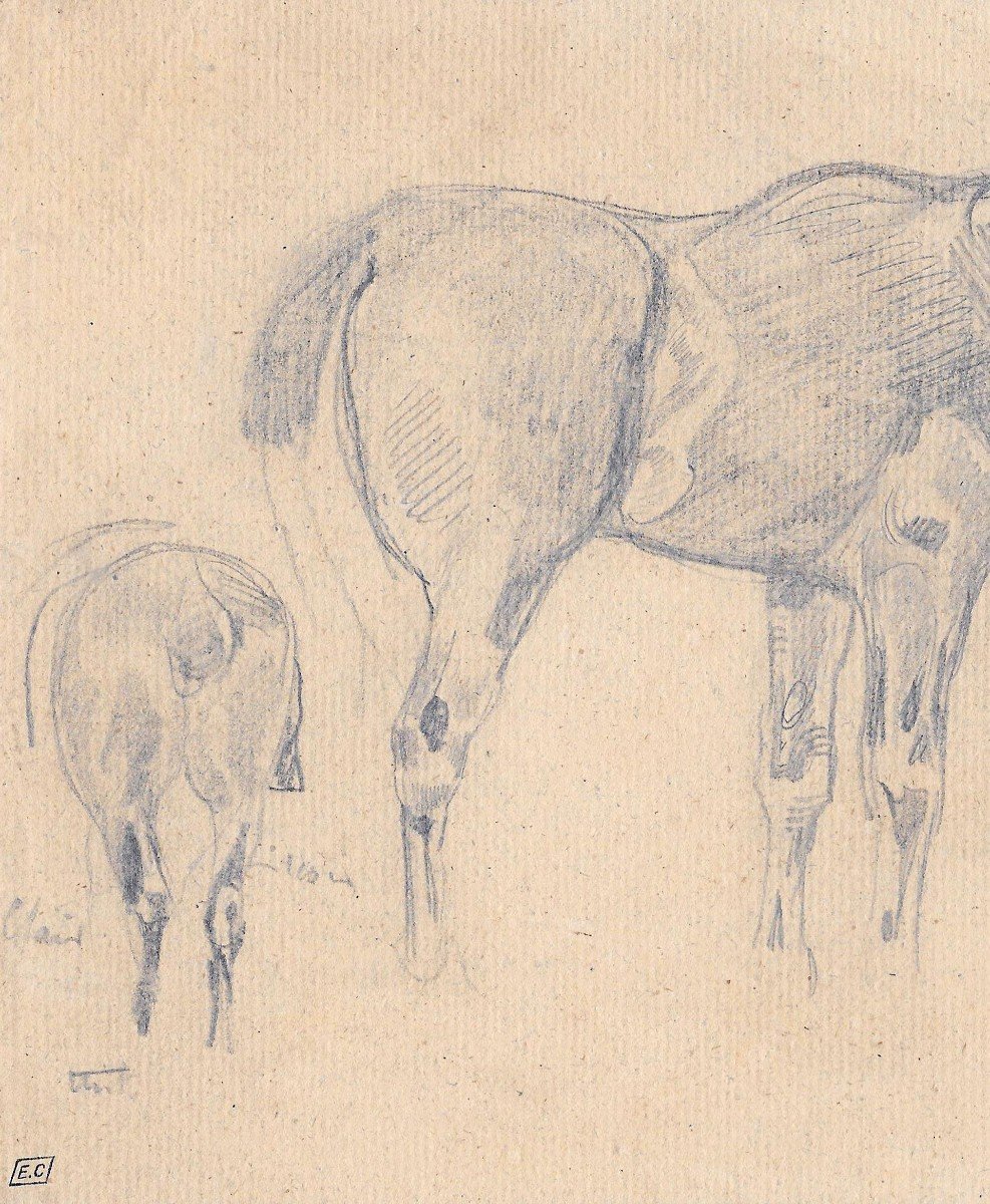 DELACROIX Eugène (1798-1863)"Etude de chevaux" Dessin/Crayon noir, Cachet, Collection E.Calando-photo-3