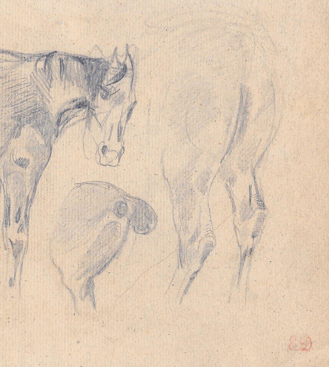 DELACROIX Eugène (1798-1863)"Etude de chevaux" Dessin/Crayon noir, Cachet, Collection E.Calando-photo-4