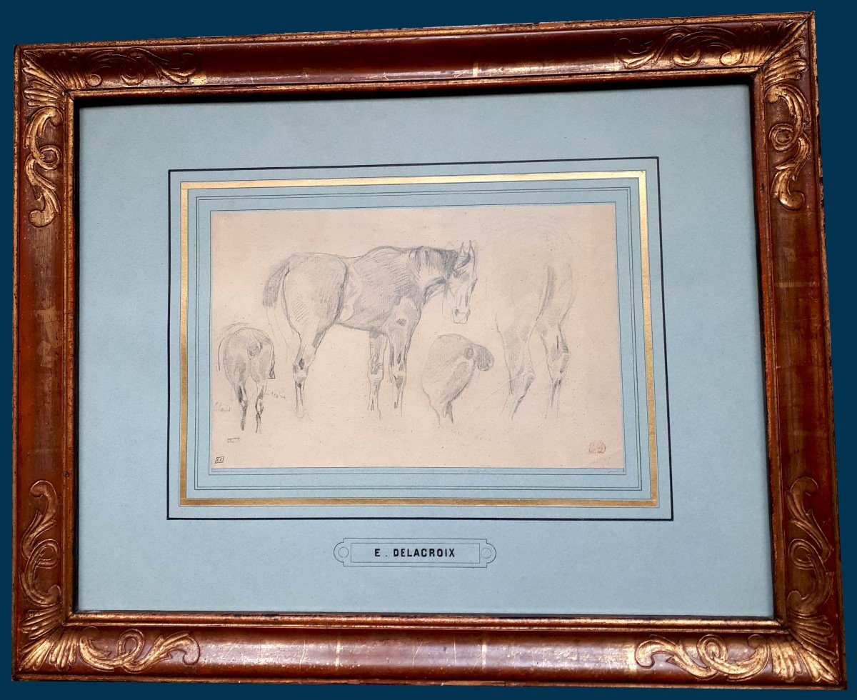 DELACROIX Eugène (1798-1863)"Etude de chevaux" Dessin/Crayon noir, Cachet, Collection E.Calando