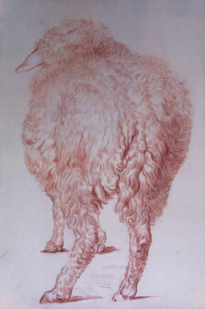 Sabatelli Luigi (1772-1850) Attr. To, "sheep Seen From Behind" Drawing/red Chalk, Frame 19th-photo-2