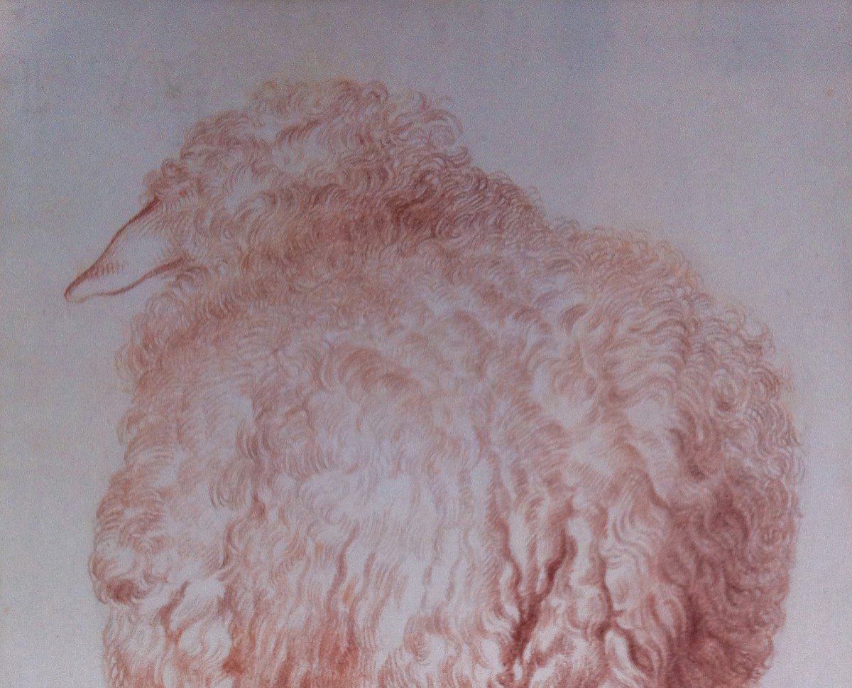 Sabatelli Luigi (1772-1850) Attr. To, "sheep Seen From Behind" Drawing/red Chalk, Frame 19th-photo-3