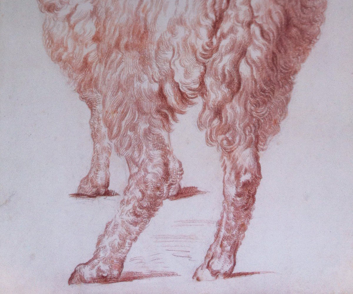 Sabatelli Luigi (1772-1850) Attr. To, "sheep Seen From Behind" Drawing/red Chalk, Frame 19th-photo-4