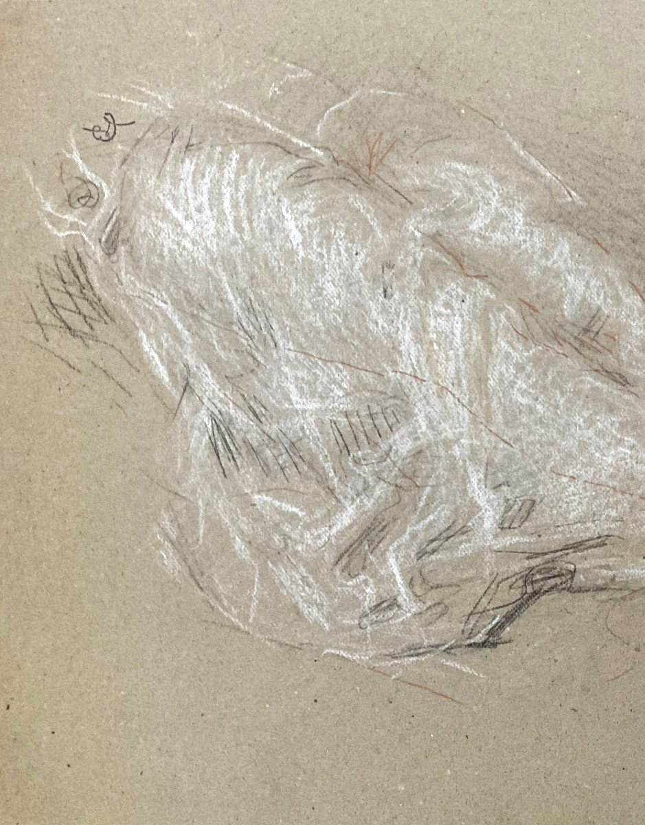Laurent Ernest (1859-1929) "study Of Elongated Legs"drawing/black Pencil,red Chalk,signed/stamp-photo-2