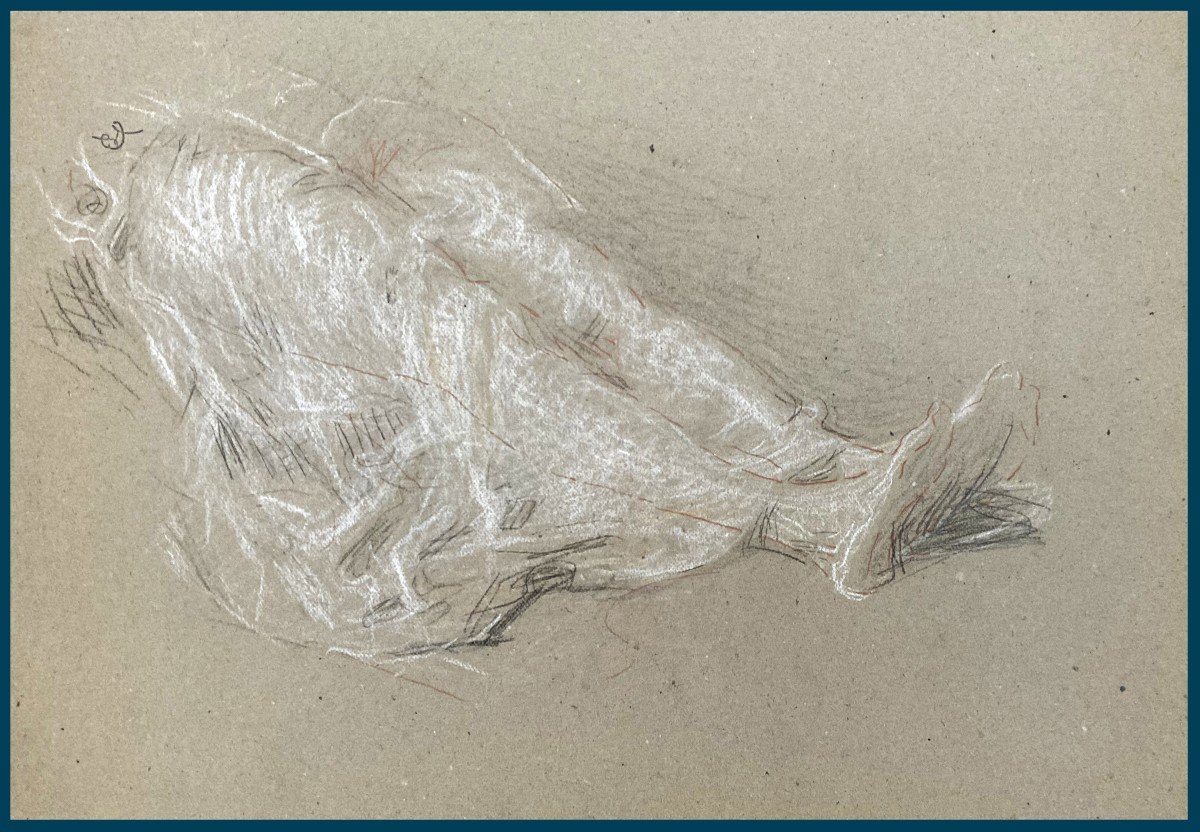 LAURENT Ernest (1859-1929) "Etude de jambes allongées" Dessin/Crayon noir,sanguine,Signé/Cachet