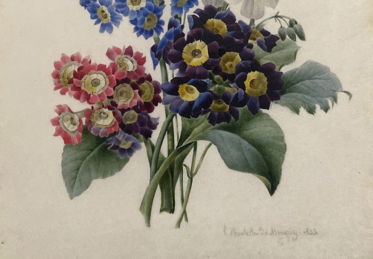 Du Minguy Charlotte (active In19th Century) "flowers" Watercolor/vellum,signed,dated, 19thframe-photo-3