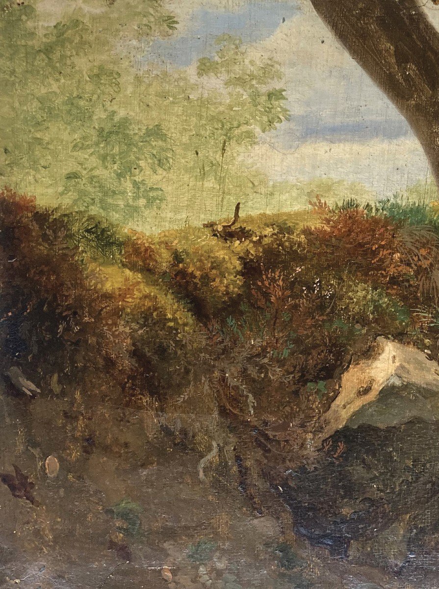 Töpffer Rodolphe (1799-1846) "landscape, Trunk & Rocks" Oil/paper, 19th Frame And Cartridge-photo-2