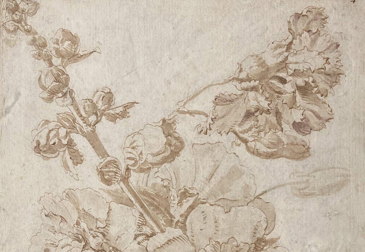 MONNOYER Antoine (1671-1747) Attribué à "Etude de fleurs" Dessin/Plume,lavis, Provenance/Cachet-photo-2