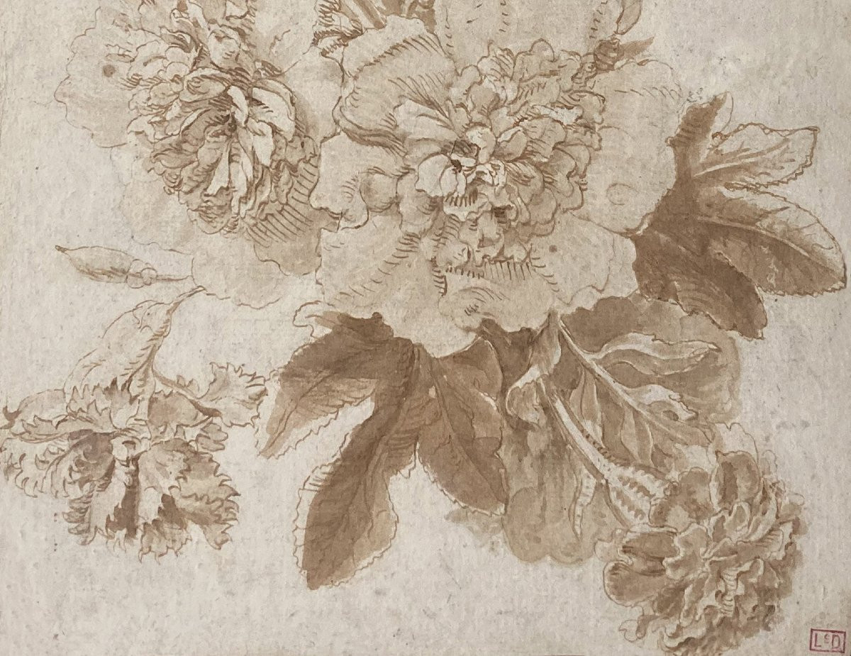 MONNOYER Antoine (1671-1747) Attribué à "Etude de fleurs" Dessin/Plume,lavis, Provenance/Cachet-photo-3