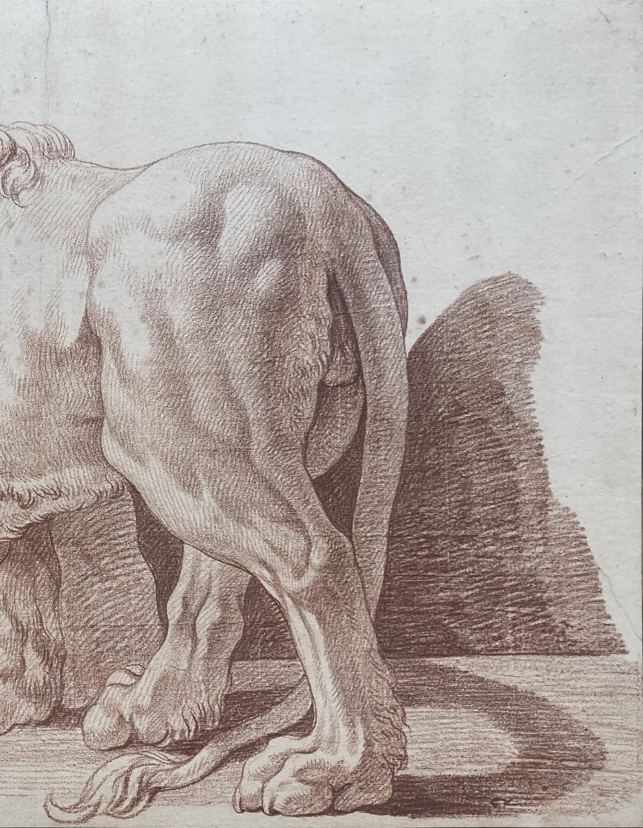 ECOLE FRANCAISE 18E SIECLE "Le Lion de la Villa Médicis" Dessin au crayon sanguine-photo-4