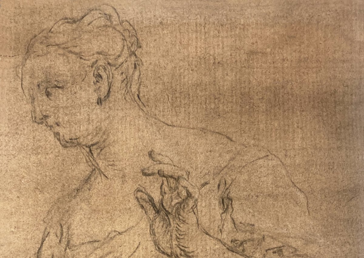 Trevisani, Francesco (1656–1746) “study Of A Woman” Black Chalk Drawing On Primed Paper-photo-2