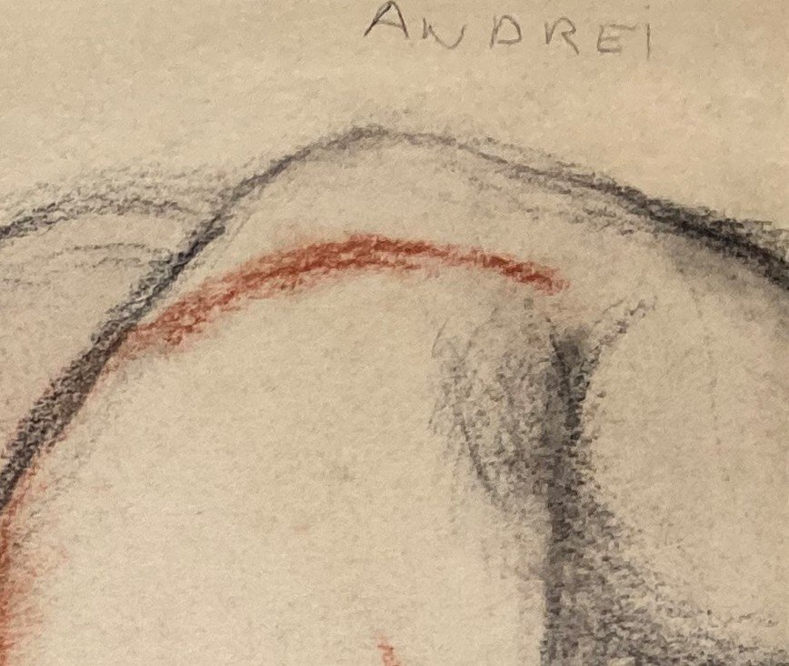 ANDRÉÏ René (1906-1987) "Nu féminin allongé" Dessin/Crayon noir et crayon sanguine, signé-photo-2