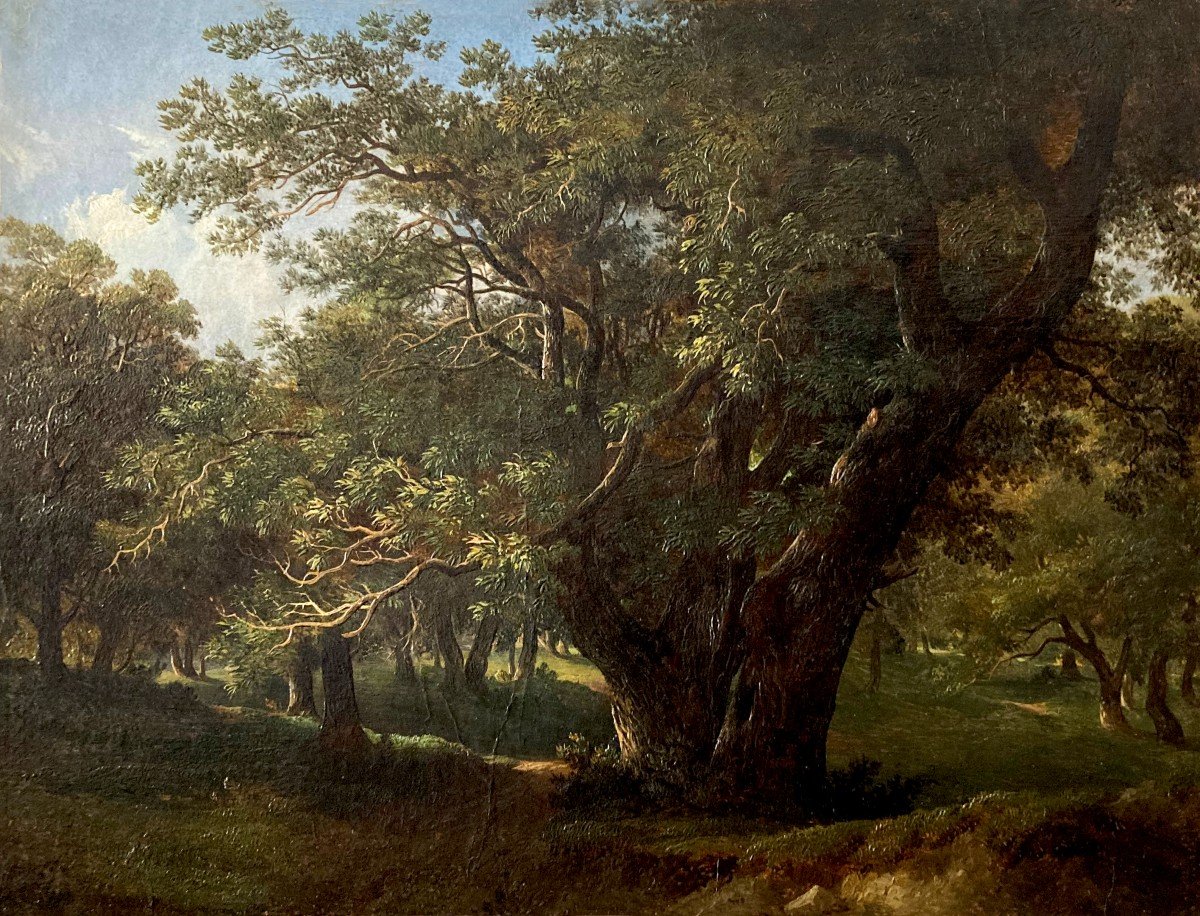French School Circa 1820 "landscape" Oil On Paper Mounted On Cardboard, Monogram