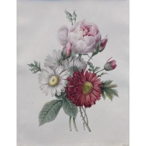 Redouté Pierre-Joseph (1759-1840) "Fleurs" Aquarelle sur vélin, annoté, Cadre 19e