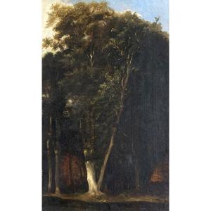 French School Circa 1840 "study Of Trees" Oil/paper, 19th Century Frame, Attribution To Huet Paul