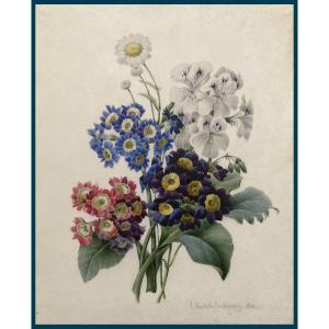 DU MINGUY Charlotte (Active au 19e siècle) "Fleurs" Aquarelle sur vélin, Signé, Daté, Cadre 19e