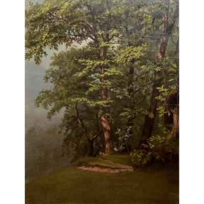 Flacheron Isidore (1806-1873) "trees" Oil On Canvas