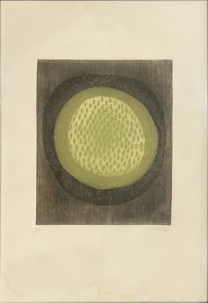 Arthur Luiz Piza - Beryl - Etching And Aquatic - 1971