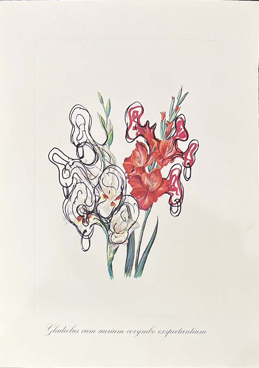 Salvador Dali - Surrealist Flowers - Suite de 12 Lithographies en couleurs embossées - 1972-photo-1