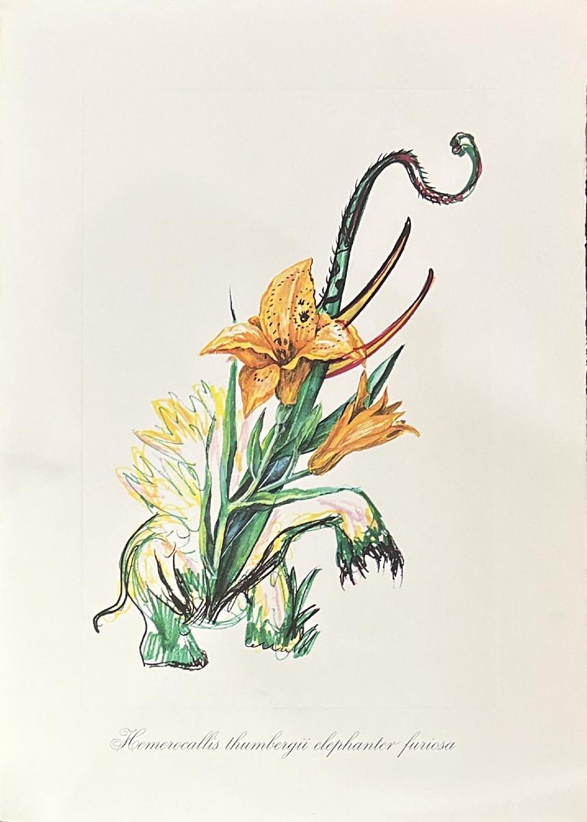 Salvador Dali - Surrealist Flowers - Suite de 12 Lithographies en couleurs embossées - 1972-photo-2