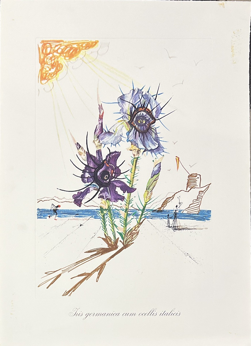 Salvador Dali - Surrealist Flowers - Suite de 12 Lithographies en couleurs embossées - 1972-photo-3