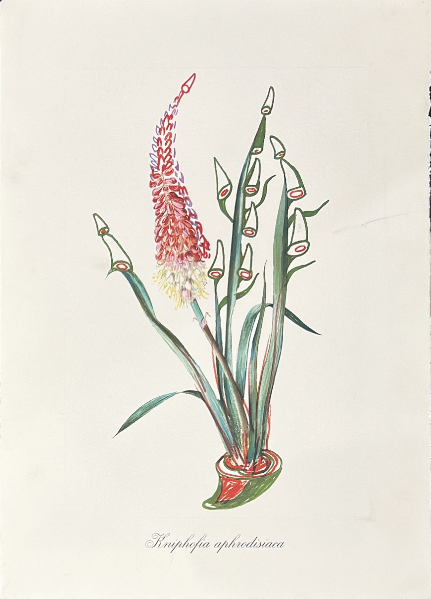 Salvador Dali - Surrealist Flowers - Suite de 12 Lithographies en couleurs embossées - 1972-photo-4