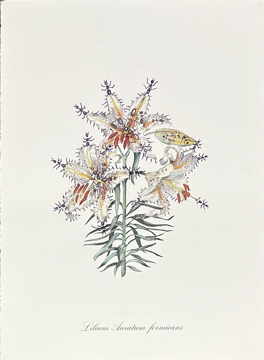 Salvador Dali - Surrealist Flowers - Suite de 12 Lithographies en couleurs embossées - 1972-photo-5