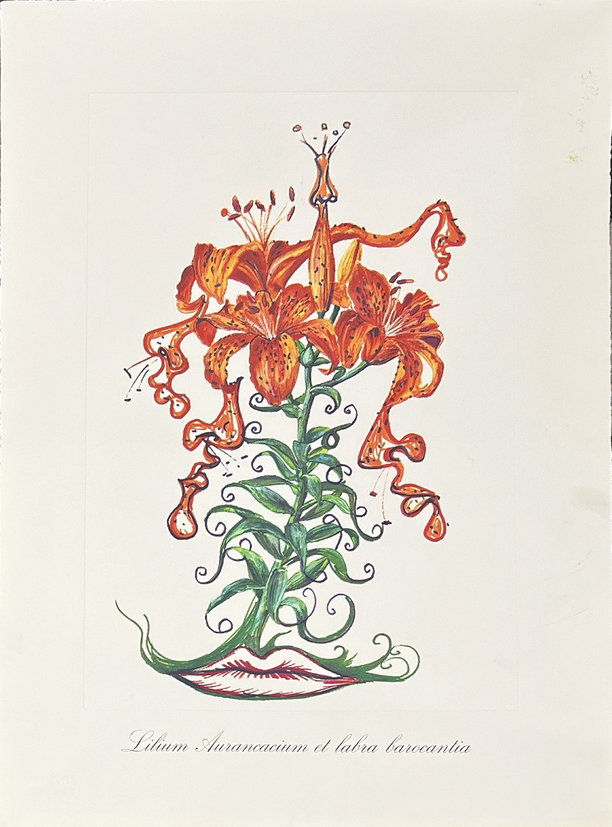 Salvador Dali - Surrealist Flowers - Suite de 12 Lithographies en couleurs embossées - 1972-photo-6