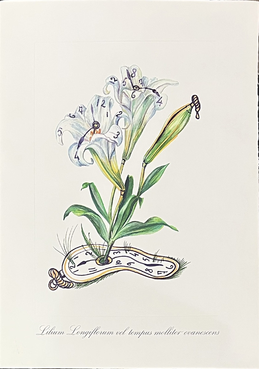 Salvador Dali - Surrealist Flowers - Suite de 12 Lithographies en couleurs embossées - 1972-photo-7