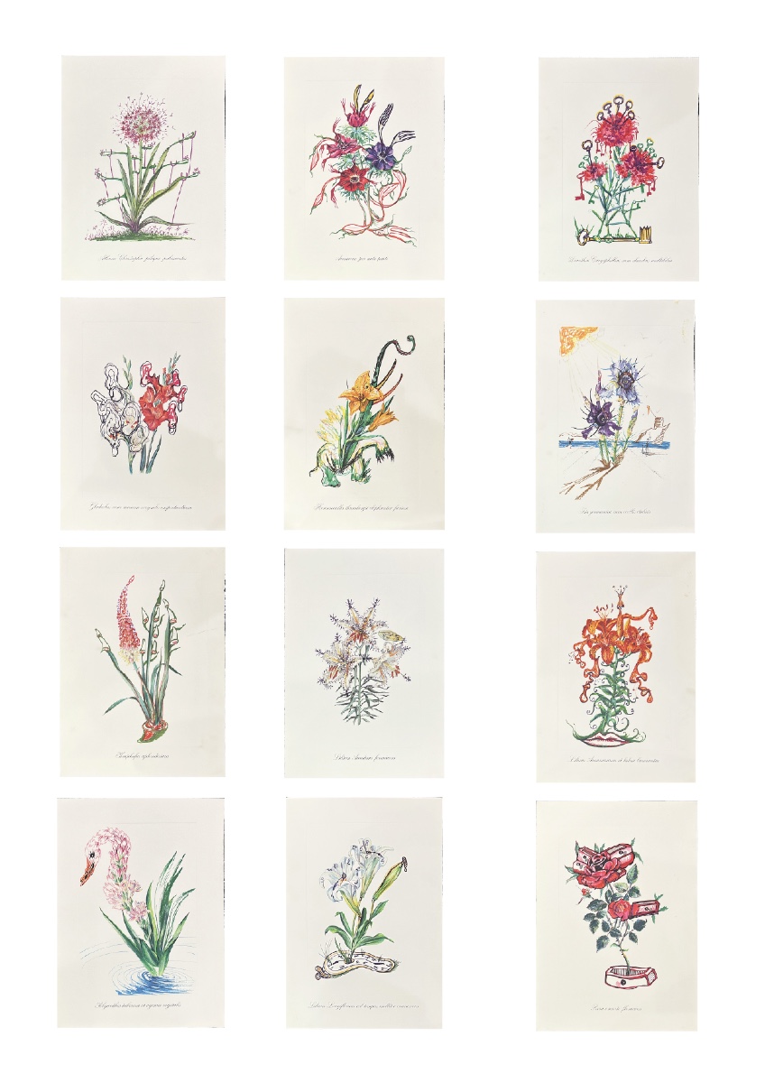 Salvador Dali - Surrealist Flowers - Suite de 12 Lithographies en couleurs embossées - 1972