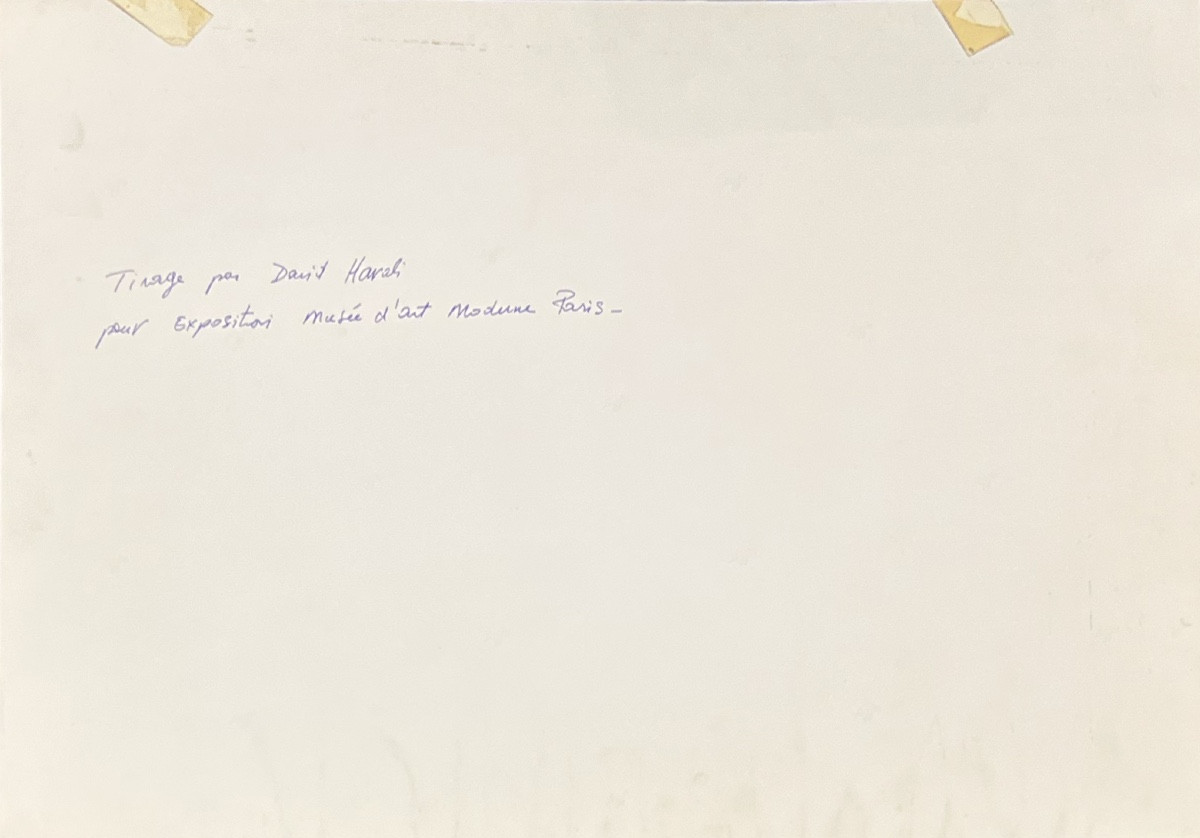 David Harali - Arman & Corice - Épreuve argentique sépia -photo-1