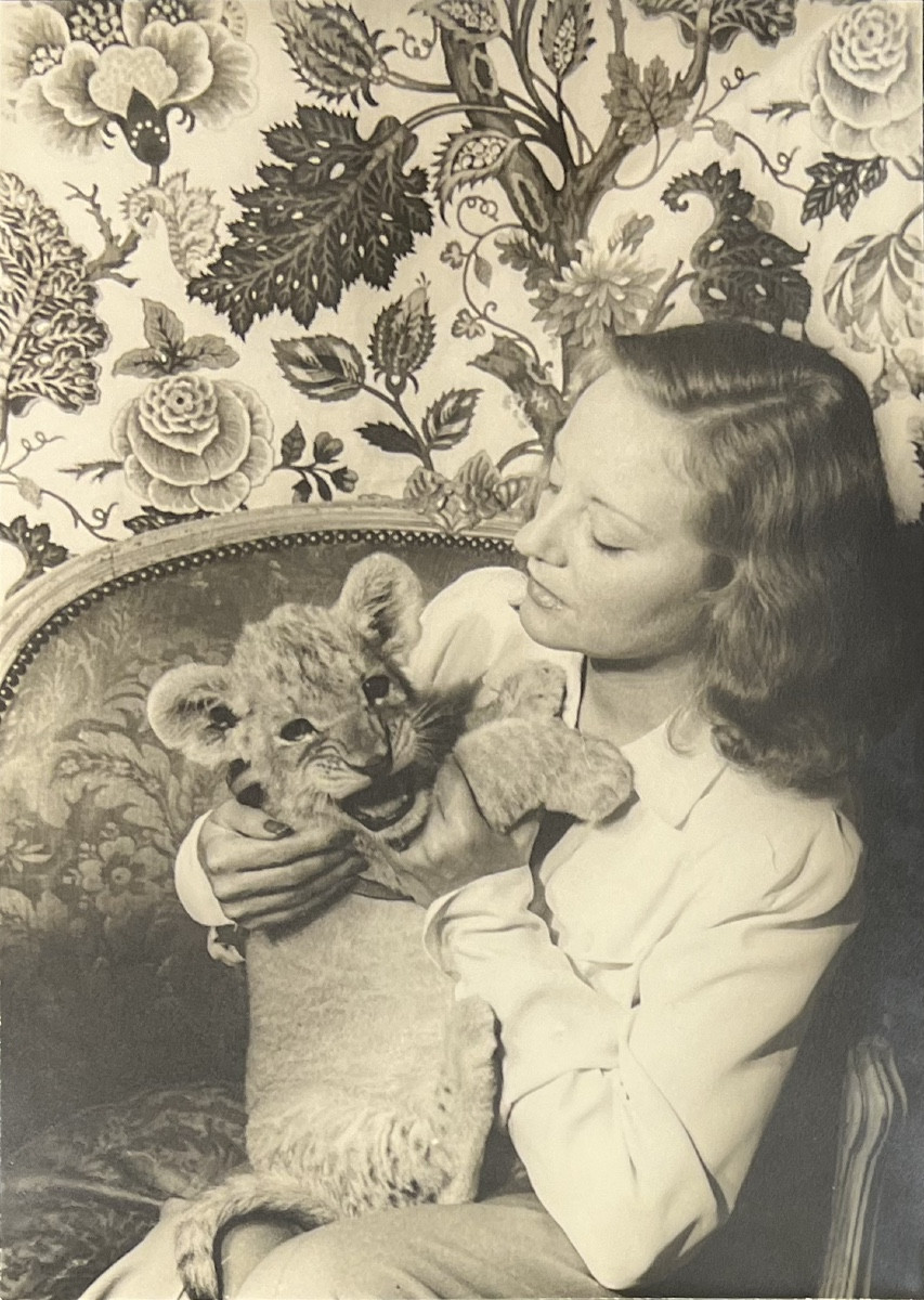 Carl Van Vechten - Tallulah Bankhead With Her Lion Winston Churchill - Silver Gelatin Print - 1941