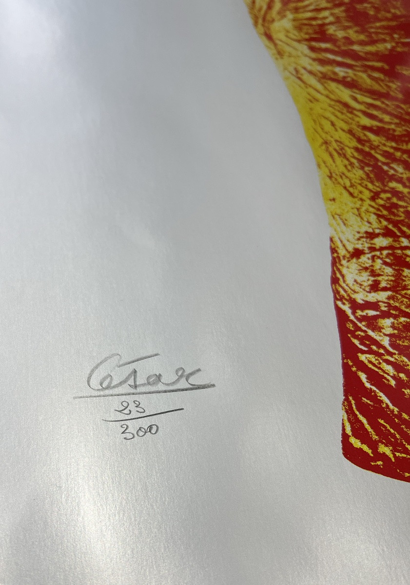 César, Known As César Baldaccini - The Thumb - Screenprint On Aluminum Foil - 1980-photo-3