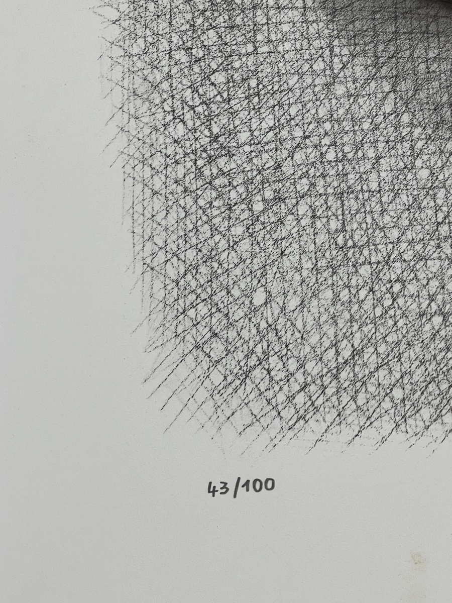 César, César Baldaccini dit - Compression de boites de médicaments - Lithographie-photo-2