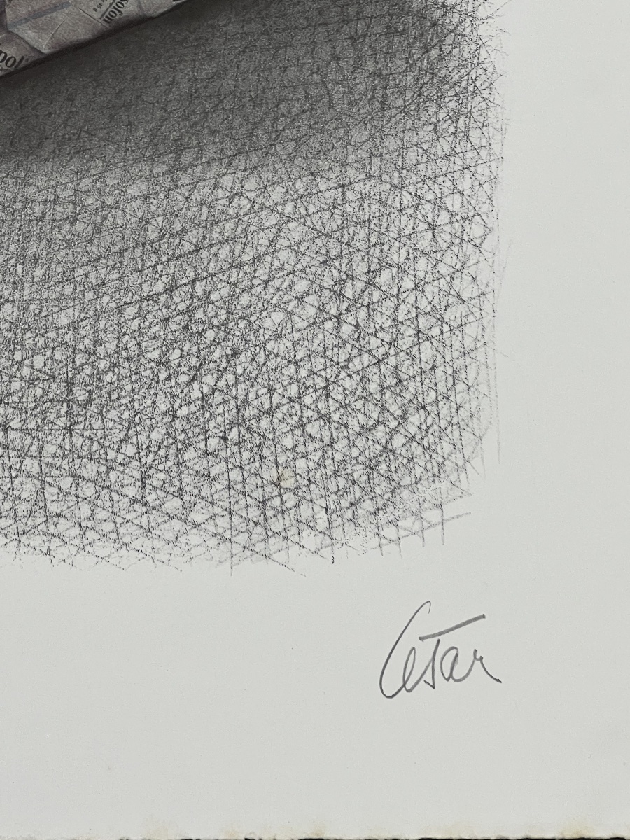 César, César Baldaccini dit - Compression de boites de médicaments - Lithographie-photo-3
